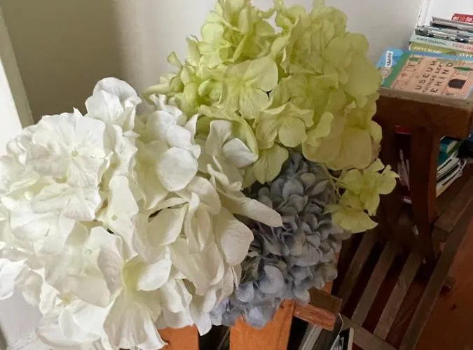 公寓 Casa Da Carqueja *